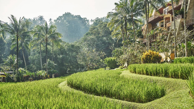 A Day in The Life of a Balinese Farmer Photo